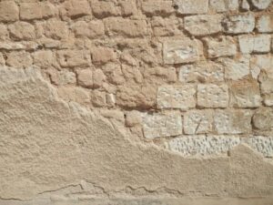 Lire la suite à propos de l’article Invitation aux rencontres 2025 du Projet National Terre